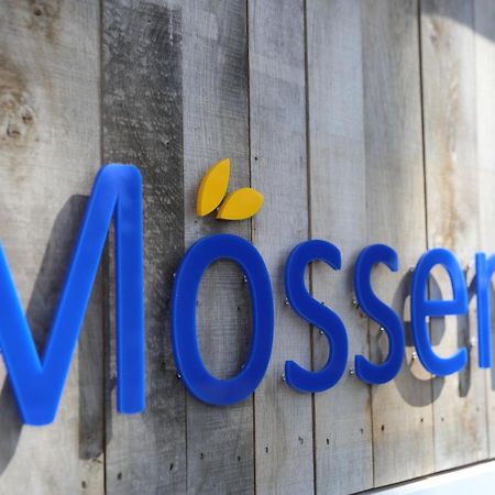 Moessems Hotel Denekamp Ngoại thất bức ảnh